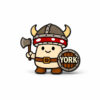 Viking shroom warrior York pin