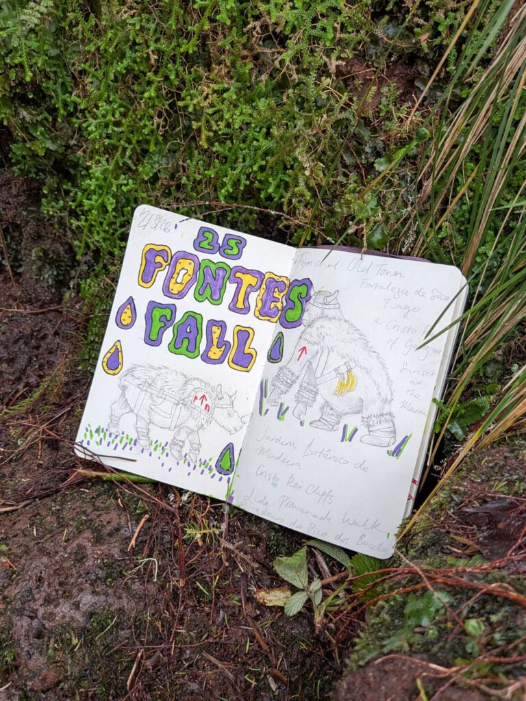 Field Notes from the 25 Fontes Falls